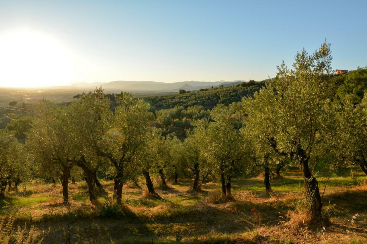 Agriturismo Podere Rondinaio Lamporecchio Exteriör bild